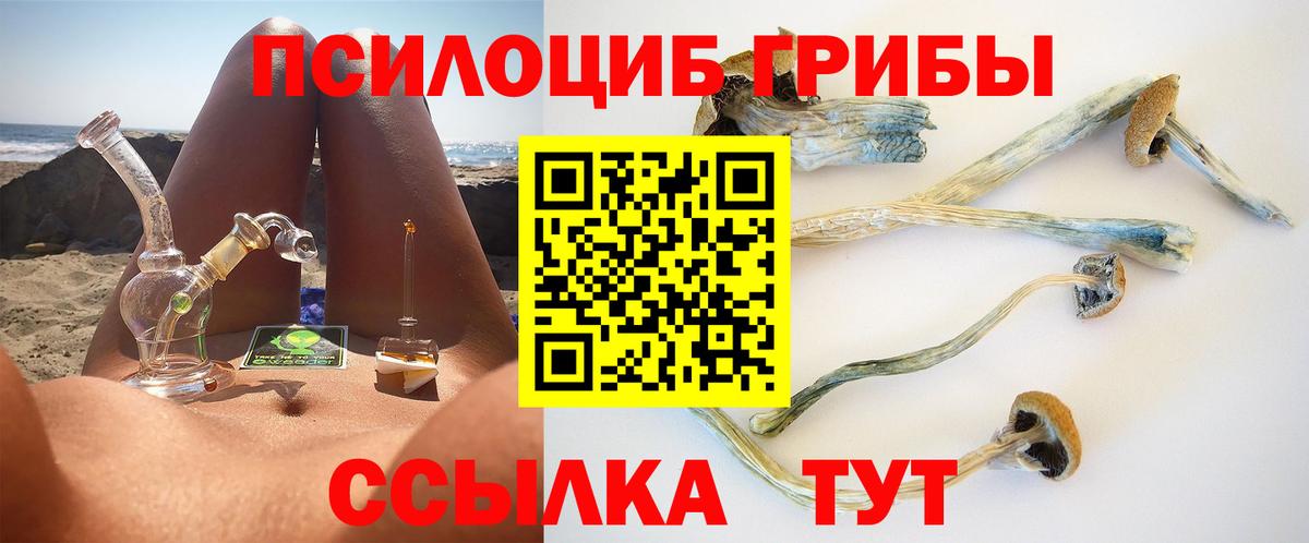 Астрахань  где можно купить   Вход с VPN  Галлюциногенные грибы мухоморы 