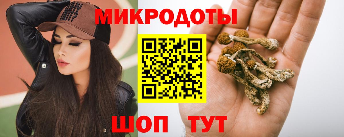 Галлюциногенные грибы MAGIC MUSHROOMS Астрахань